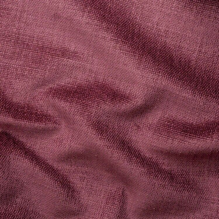 Beverly / Beverly 14 Wine