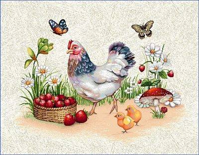 Podkładka 1287RK - 40x50