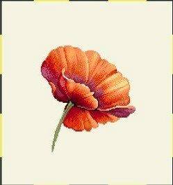 Podkładka 1002 P - 20x20