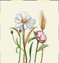 Podkładka 1243Na P - 20x20