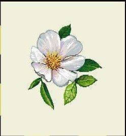 Podkładk L29 P - 20x20